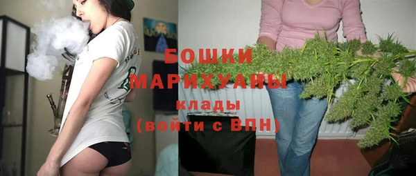 стафф Елизово