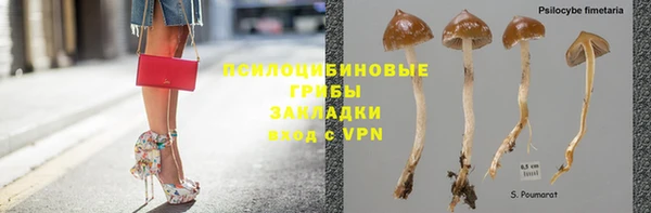 PSILOCYBIN Ельня